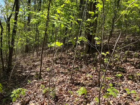 Lot 11j Ash Branch View Hayesville NC 28904