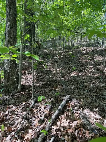 Lot 11j Ash Branch View Hayesville NC 28904