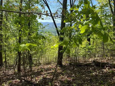 Lot 11j Ash Branch View Hayesville NC 28904