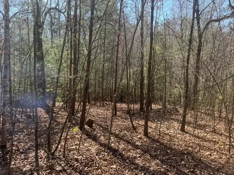 00 Blue Ridge Heights Hayesville NC 28906