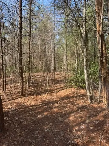 00 Blue Ridge Heights Hayesville NC 28906