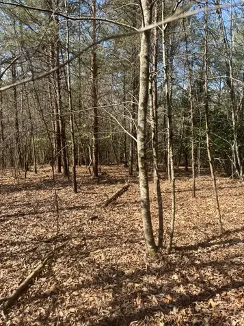 00 Blue Ridge Heights Hayesville NC 28906