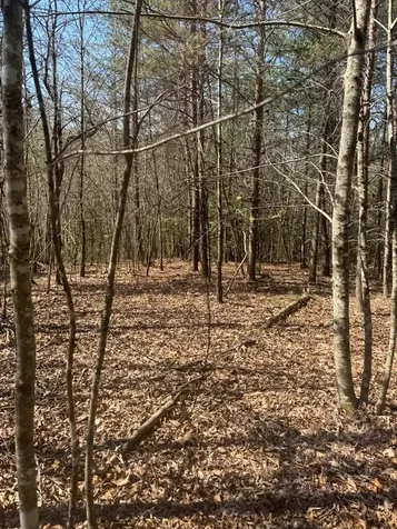 00 Blue Ridge Heights Hayesville NC 28906