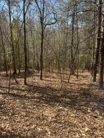 00 Blue Ridge Heights Hayesville NC 28906