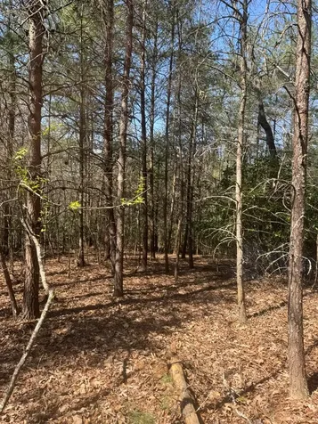 00 Blue Ridge Heights Hayesville NC 28906