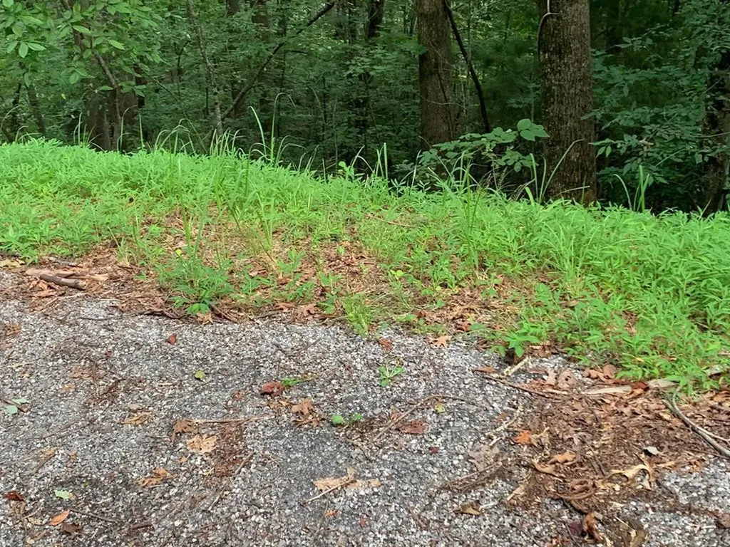 43 Laurel Lane Murphy NC 28906