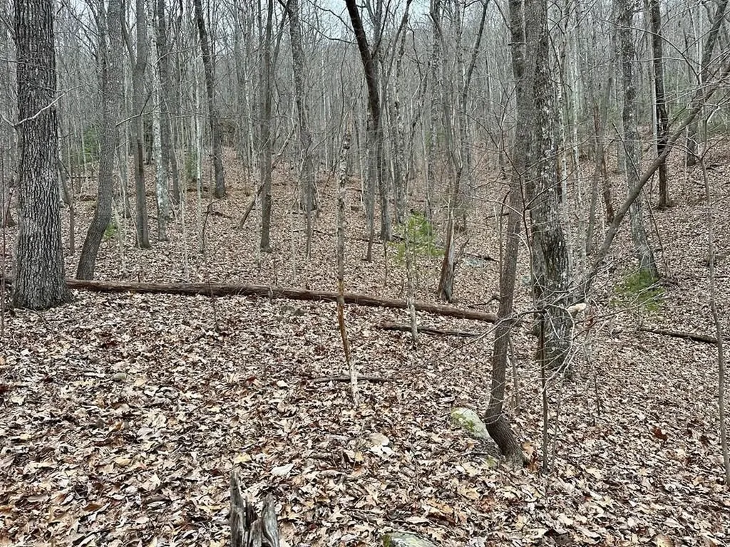 15-19 Indian Rock Springs Murphy NC 28906