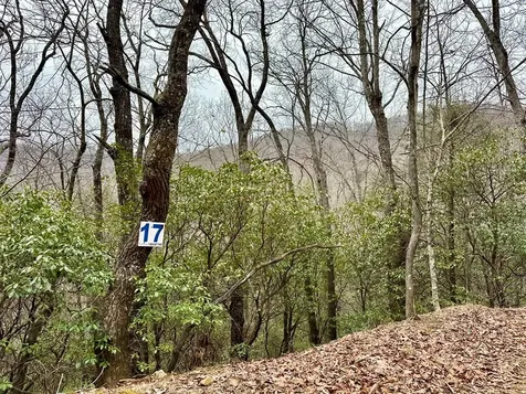 15-19 Indian Rock Springs Murphy NC 28906