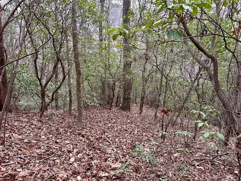 15-19 Indian Rock Springs Murphy NC 28906