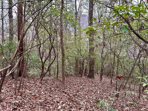 15-19 Indian Rock Springs Murphy NC 28906