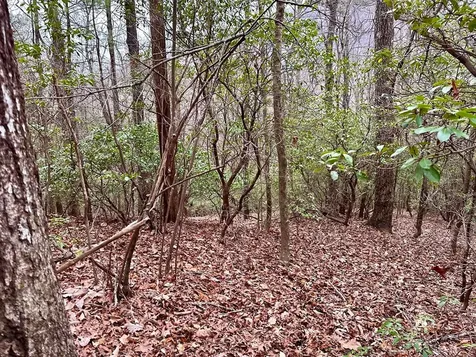 15-19 Indian Rock Springs Murphy NC 28906