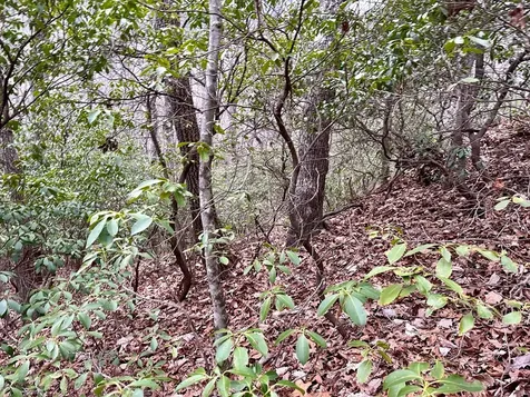 15-19 Indian Rock Springs Murphy NC 28906