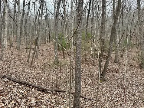 15-19 Indian Rock Springs Murphy NC 28906