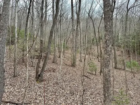 15-19 Indian Rock Springs Murphy NC 28906