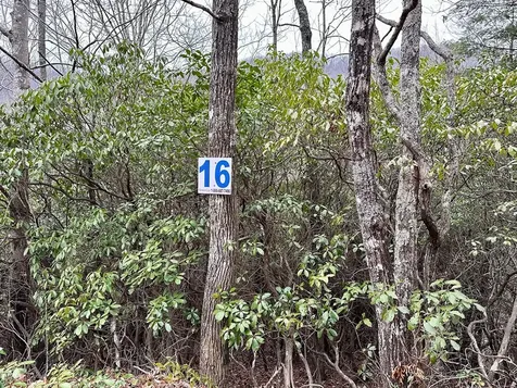 15-19 Indian Rock Springs Murphy NC 28906