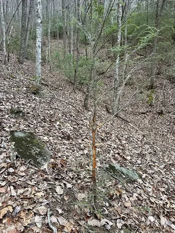 15-19 Indian Rock Springs Murphy NC 28906