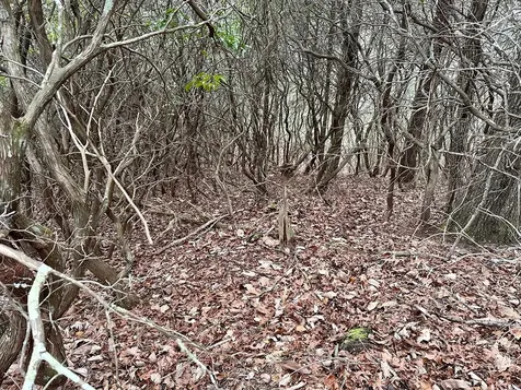 15-19 Indian Rock Springs Murphy NC 28906