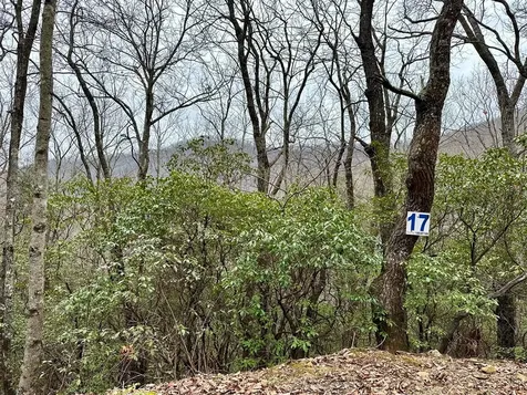 15-19 Indian Rock Springs Murphy NC 28906