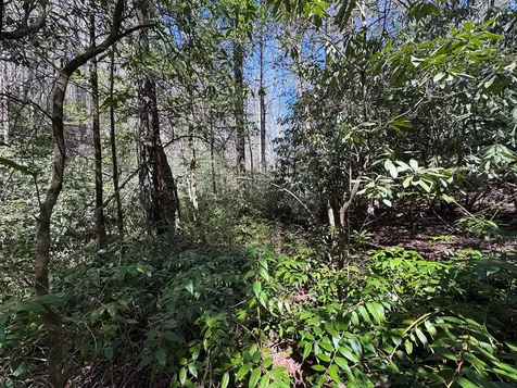 00 Virginia Lane Murphy NC 28906