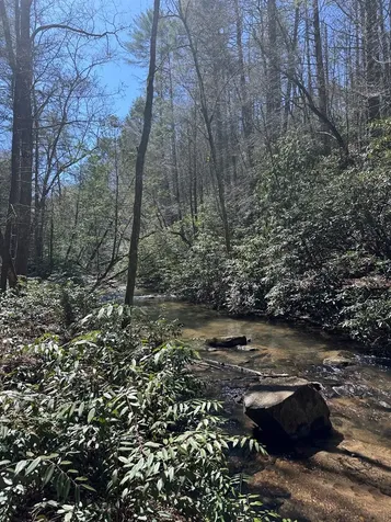 00 Virginia Lane Murphy NC 28906