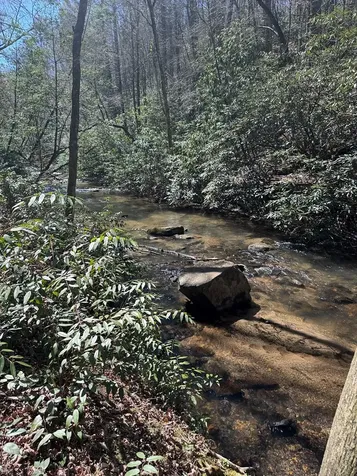 00 Virginia Lane Murphy NC 28906
