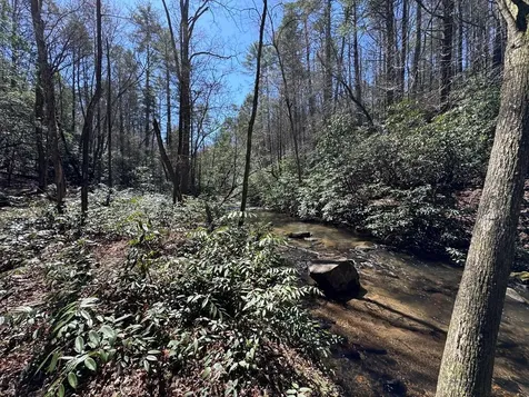 00 Virginia Lane Murphy NC 28906