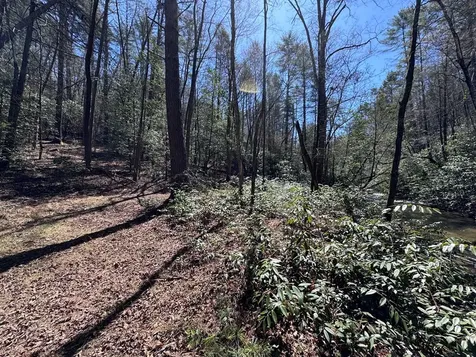 00 Virginia Lane Murphy NC 28906