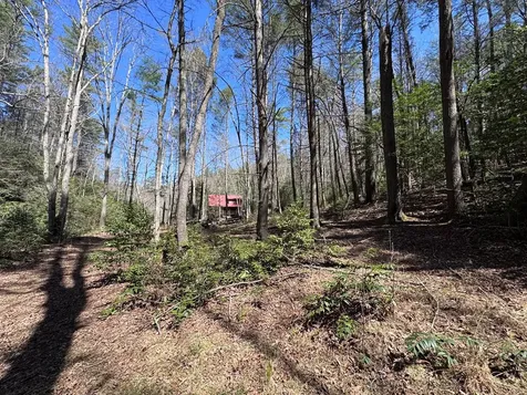 00 Virginia Lane Murphy NC 28906