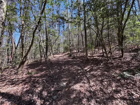 00 Virginia Lane Murphy NC 28906