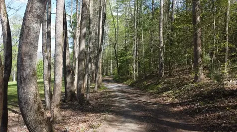 8158 Beaver Dam Road Murphy NC 28906