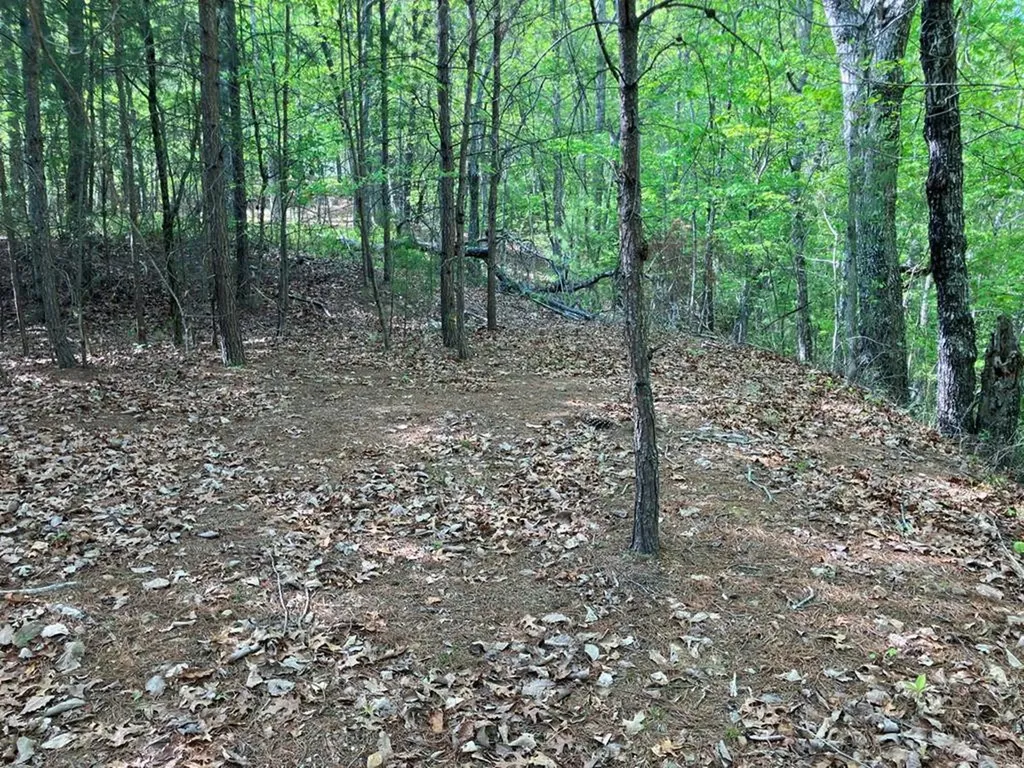 LT24 Mission Ridge Court Hayesville NC 28904