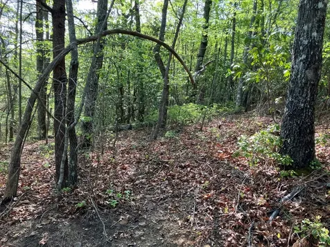 LT24 Mission Ridge Court Hayesville NC 28904