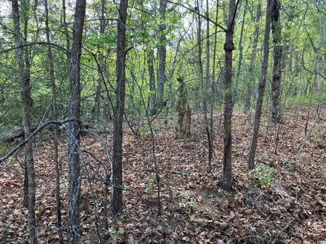 LT24 Mission Ridge Court Hayesville NC 28904