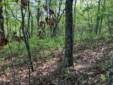 LT24 Mission Ridge Court Hayesville NC 28904