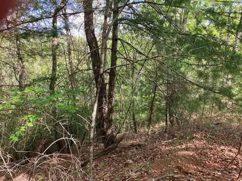 LT24 Mission Ridge Court Hayesville NC 28904