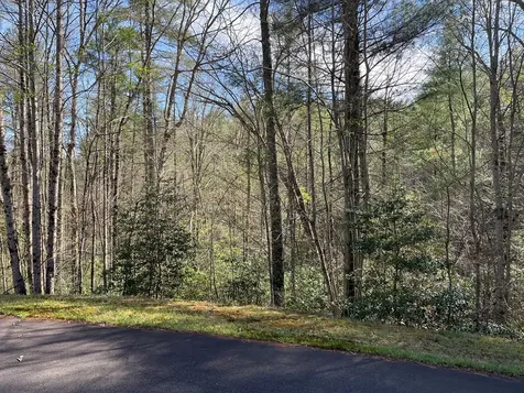 Lot 89 Spectacular Hayesville NC 28904