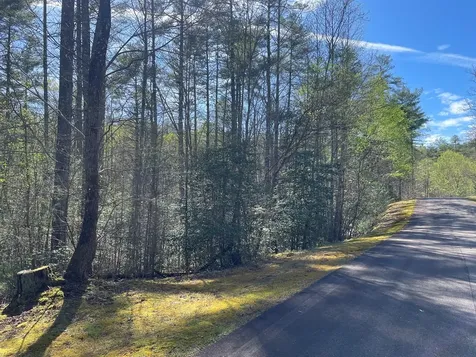 Lot 89 Spectacular Hayesville NC 28904