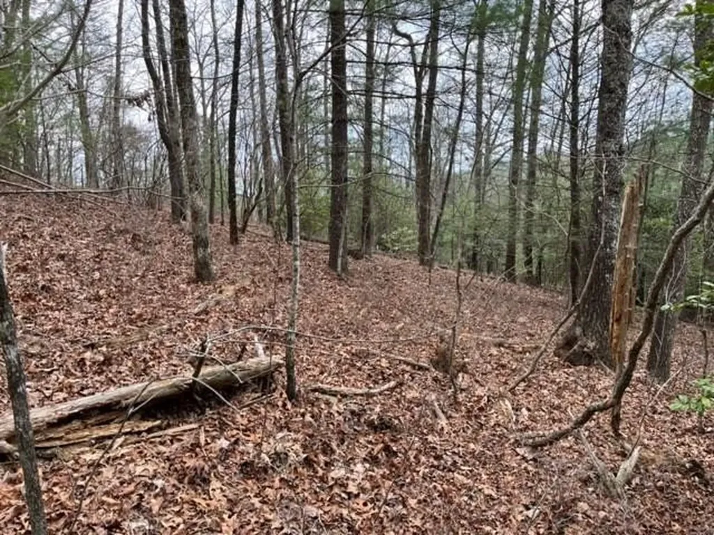 Lot 33 Sahkanaga Drive Murphy NC 28906
