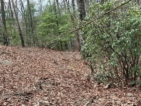 Lot 33 Sahkanaga Drive Murphy NC 28906