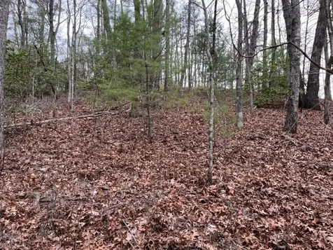 Lot 33 Sahkanaga Drive Murphy NC 28906
