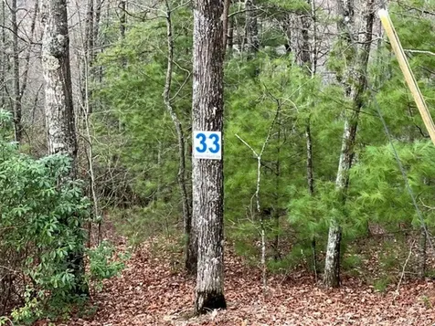 Lot 33 Sahkanaga Drive Murphy NC 28906