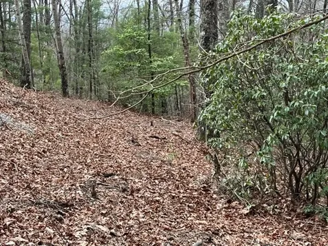 Lot 33 Sahkanaga Drive Murphy NC 28906