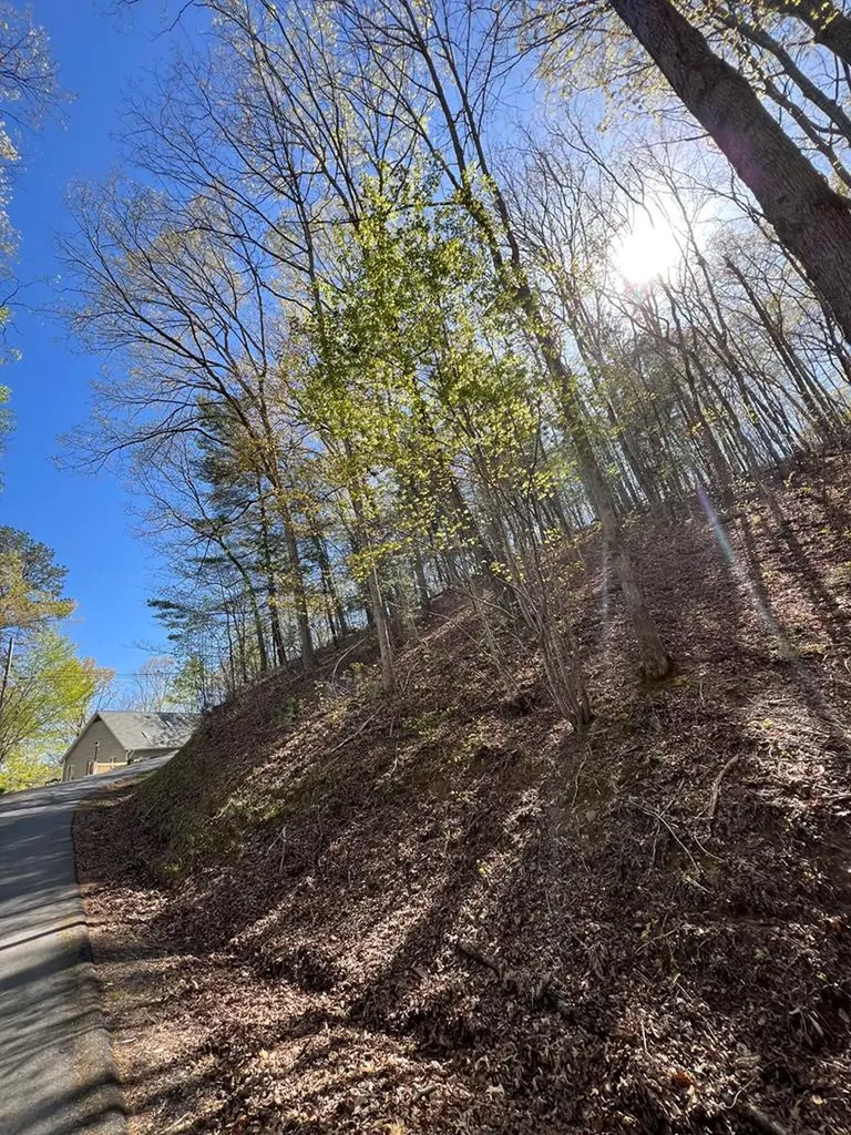 Lot 2 Lonesome Pine Murphy NC 28906