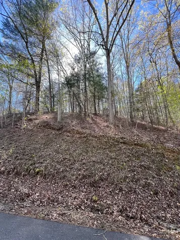 Lot 2 Lonesome Pine Murphy NC 28906
