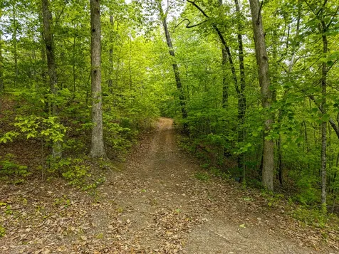 445 Tranquil Cove Road Murphy NC 28906