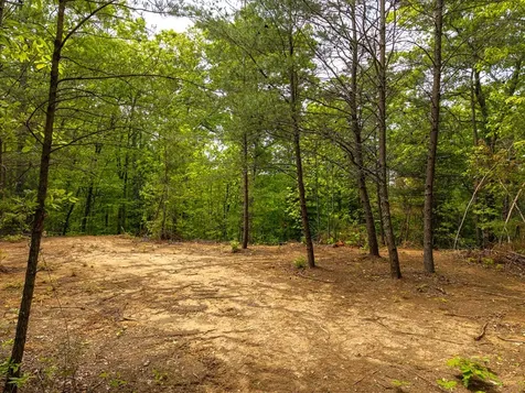 445 Tranquil Cove Road Murphy NC 28906