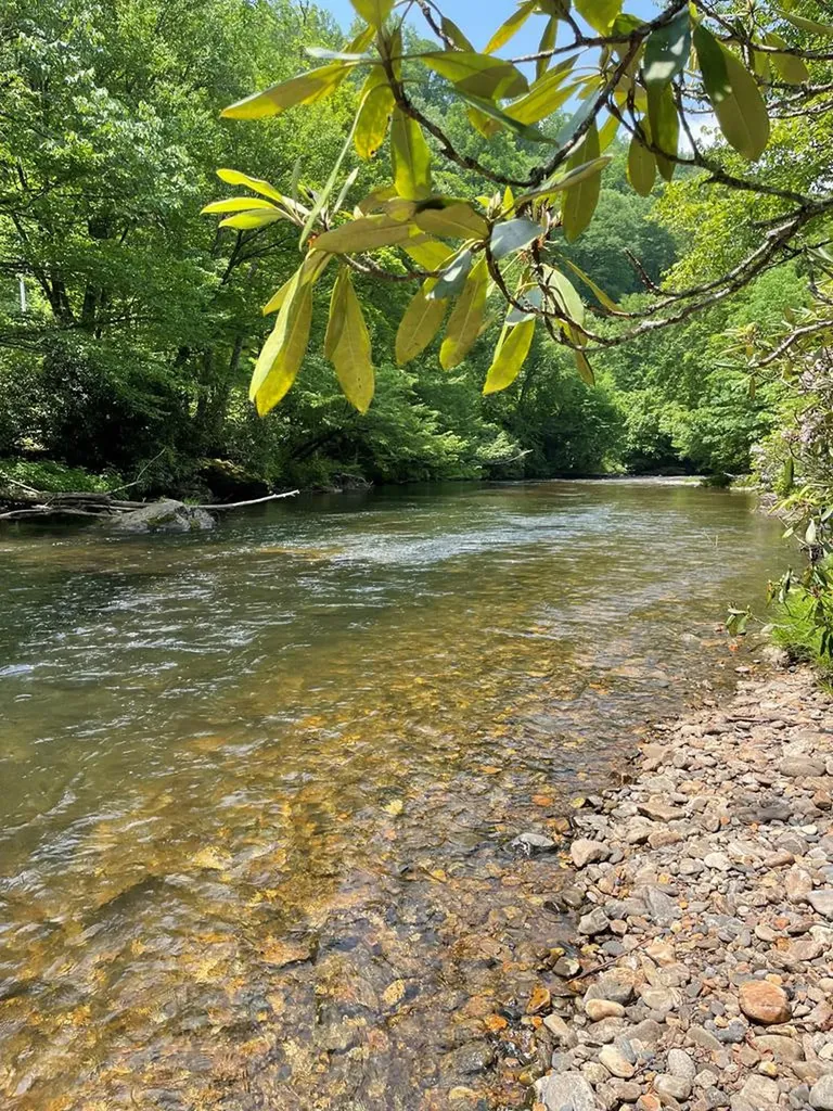 17 & 18 Wilderness Drive Hayesville NC 28904