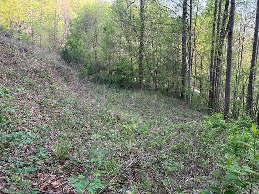 0 Yellow Branch State Road1267 Robbinsville NC 28771