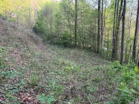 0 Yellow Branch State Road1267 Robbinsville NC 28771