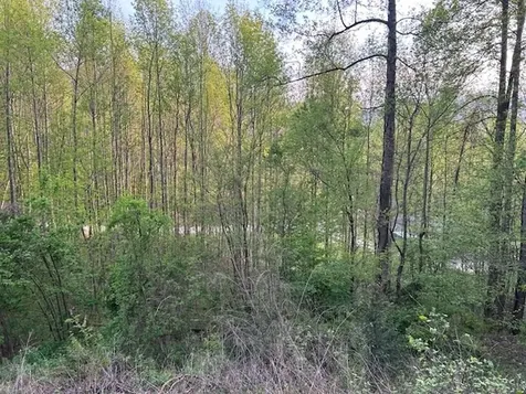 0 Yellow Branch State Road1267 Robbinsville NC 28771